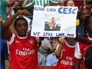 Bóng đá anh, ngoại hạng anh, lịch thi đấu euro 2012, Fabregas: Wenger sẽ đưa Arsenal trở lại đỉnh cao
